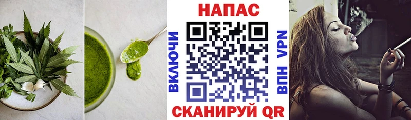 blacksprut ссылки  Назарово  Cannafood конопля 