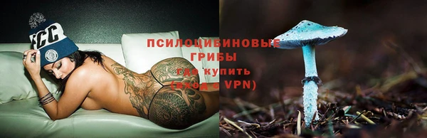 не бодяженный Вяземский