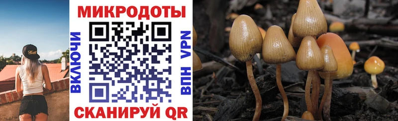 Псилоцибиновые грибы MAGIC MUSHROOMS  хочу   Назарово 