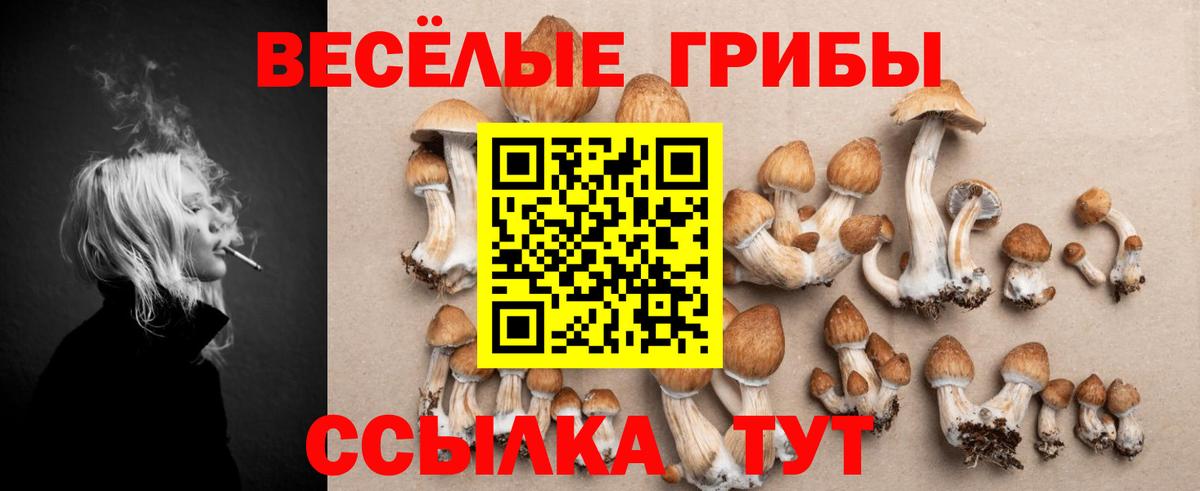 наркотики  Вход с VPN  Назарово  Псилоцибиновые грибы Magic Shrooms  Галлюциногенные грибы Psilocybine cubensis 